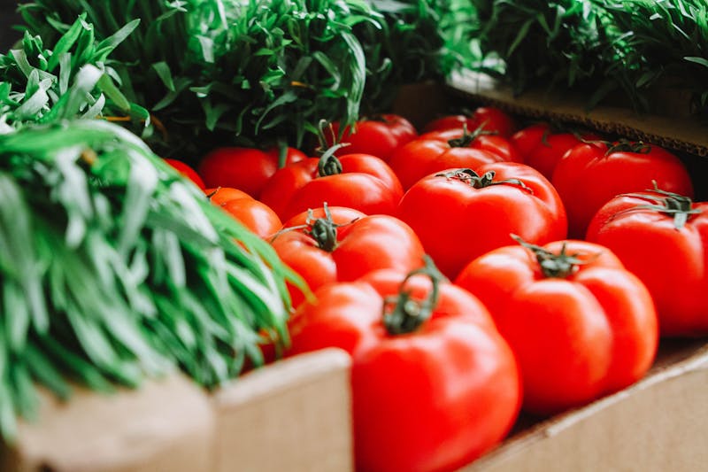 Food Assistance